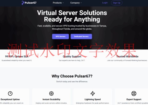 Pulsar67：坦帕vps，1核/1GB/10GB/5TB@1Gbps带宽，$1/月插图